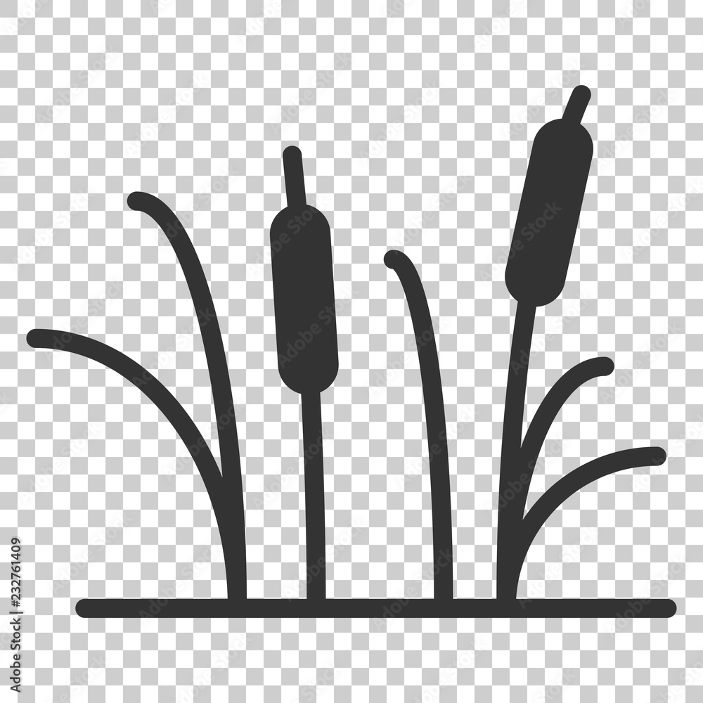 Reeds grass icon in flat style. Bulrush swamp vector illustration on isolated background. Reed leaf business concept. Reeds grass icon in flat style. Bulrush swamp vector illustration on isolated background. Reed leaf business concept.