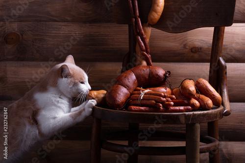 рыжий кот ест сосиски ,разложенные на стуле