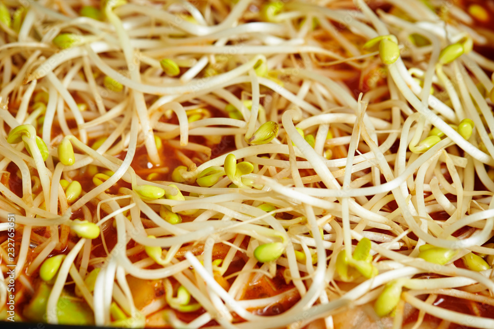 Bean sprout in Korean spicy soup 