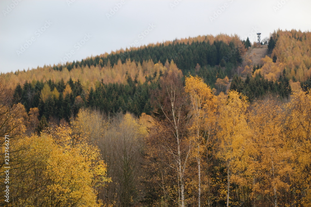 Fototapeta premium Die Kohlhaukuppe (786 Meter) im wunderschönen Osterzgebirge im Herbstkleid