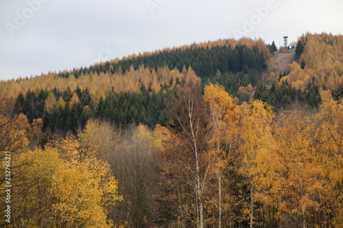 Die Kohlhaukuppe (786 Meter) im wunderschönen Osterzgebirge im Herbstkleid