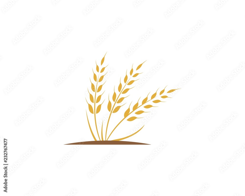 Agriculture wheat Logo Template vector icon design Agriculture wheat Logo Template vector icon design