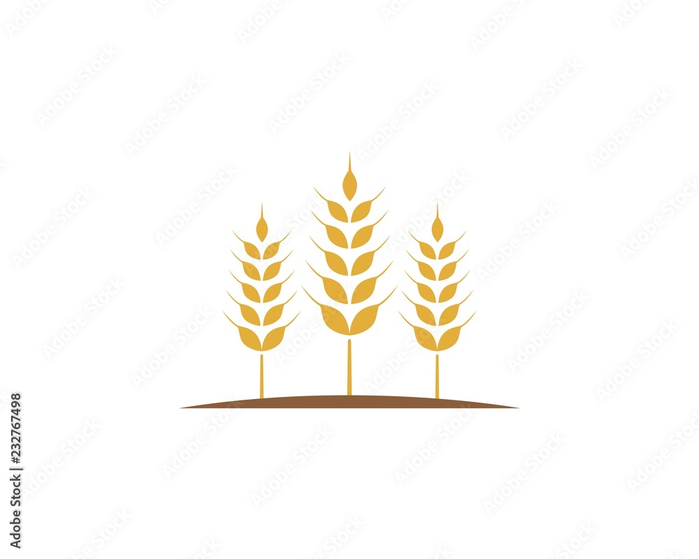 Agriculture wheat Logo Template vector icon design Agriculture wheat Logo Template vector icon design