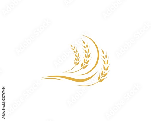 Agriculture wheat Logo Template vector icon design