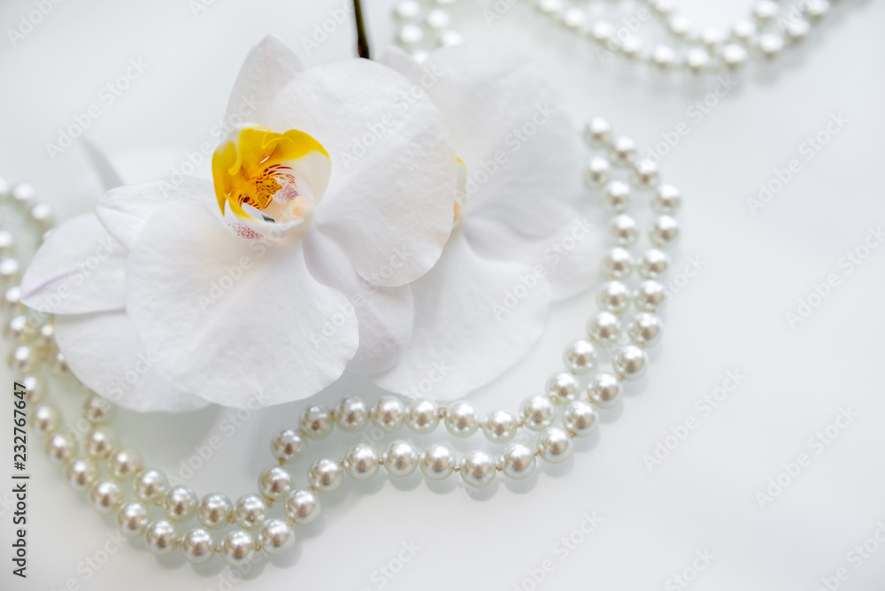 pearl and white orchid on a white glas