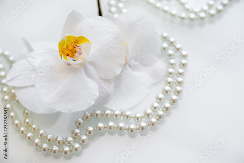 pearl and white orchid on a white glas