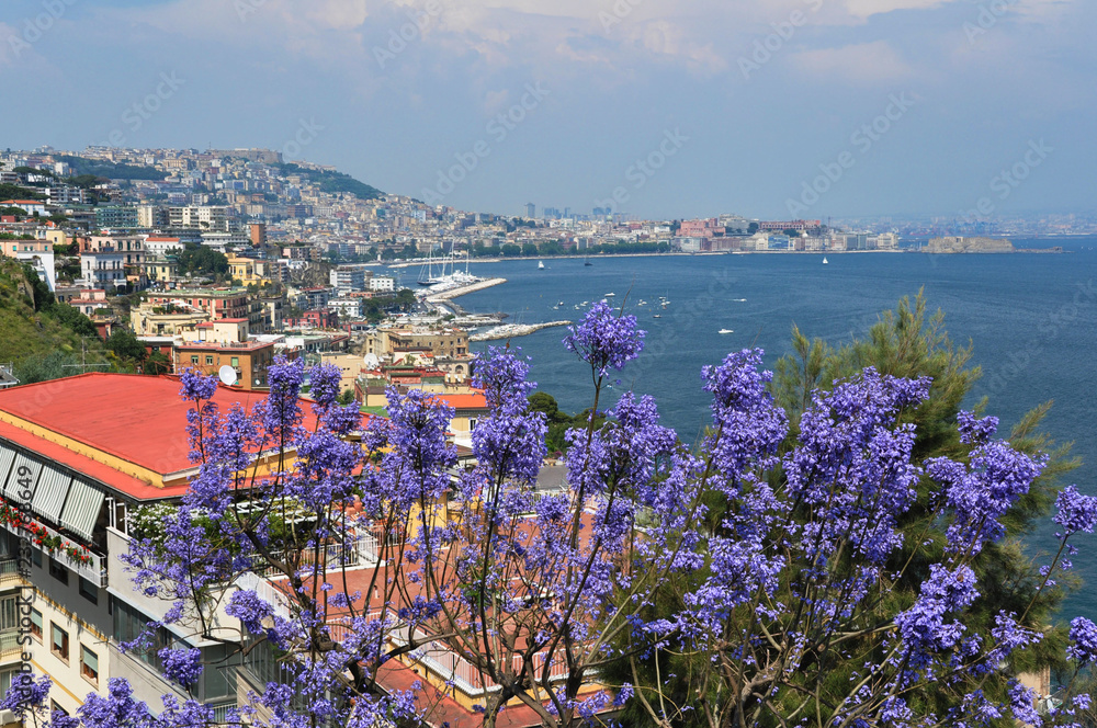 Panoramic view of Naples