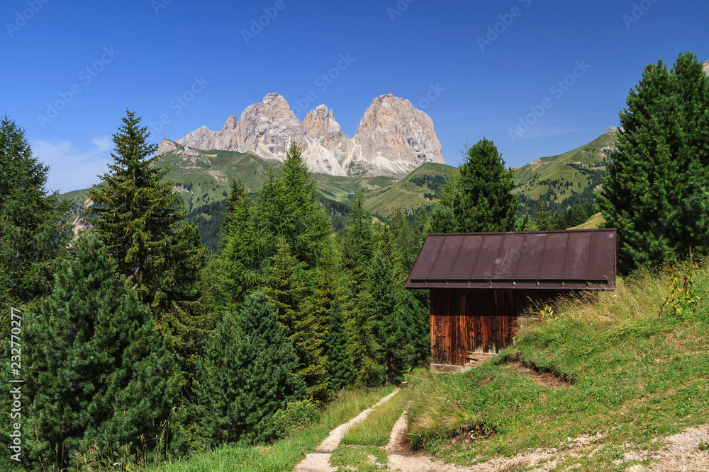 Fototapeta premium Dolomiti - Sassolungo mount from Fassa Valley, Italy
