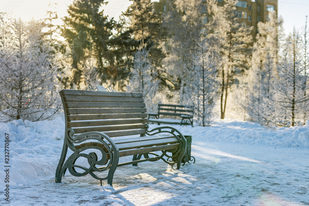 Bench and snow-covered trees in City Park. Beautiful winter scene in park. Sunlight and cold weather.