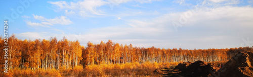 Herbstspaziergang