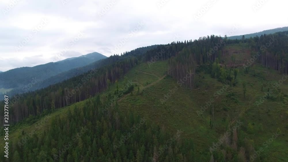 Deforestation. Aerial drone view of forest destroyed in Ukraine. Deforestation. Aerial drone view of forest destroyed in Ukraine.