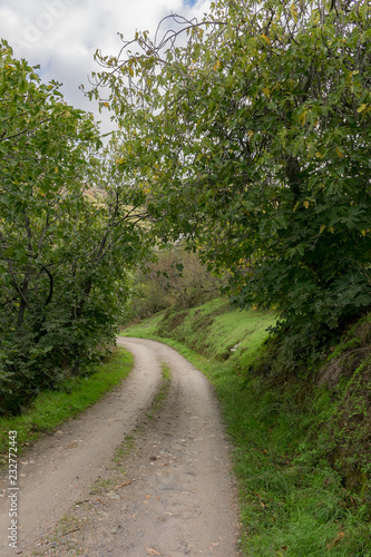 Camino