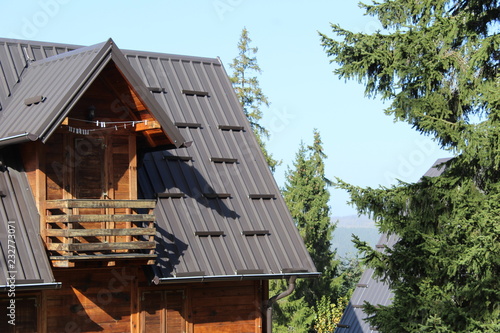 house in forest