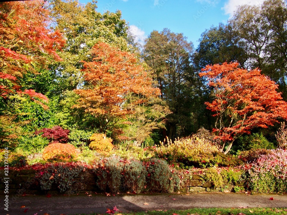 English Autumn Garden 
