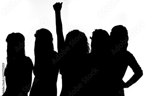 braidsmaids silhouette