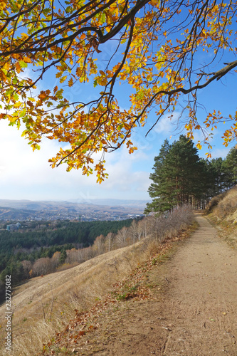 Scenic path in the Resort Park of Kislovodsk, Russia. The city Resort park is the biggest attraction. It was founded in 1823 and was entirely man-made, today its area is 1340 hectares photo