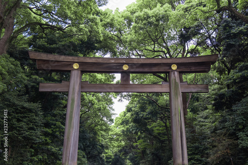 tori gate in the forest
