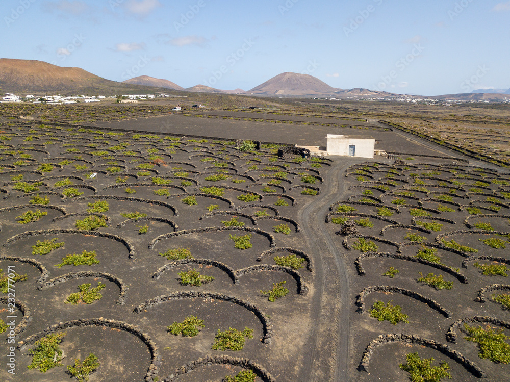 Fototapeta premium Vista aerea delle coltivazioni vinicole sui terreni vulcanici dell’isola di Lanzarote, pianure e colline nell’entroterra, vulcani all’orizzonte. Isole Canarie, Spagna. Produzione di vino 