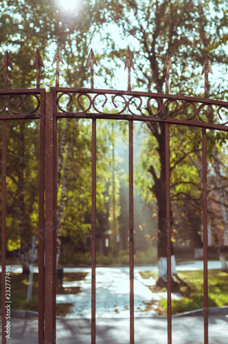 autumn in the park