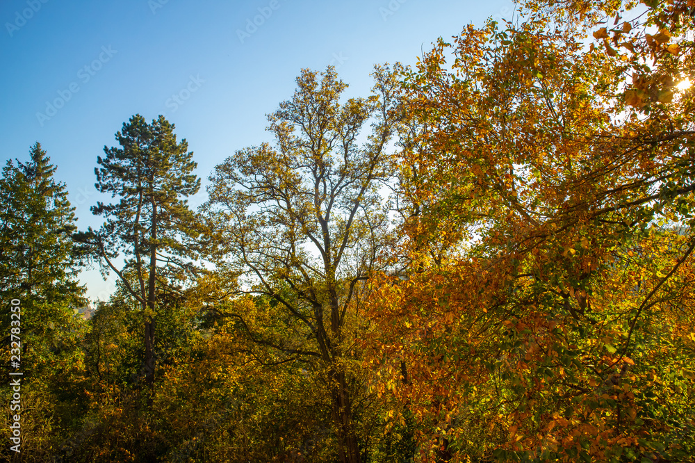 Herbst in der Sächsische Schweiz Herbst in der Sächsische Schweiz