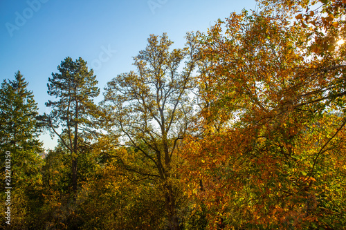 Herbst in der Sächsische Schweiz
