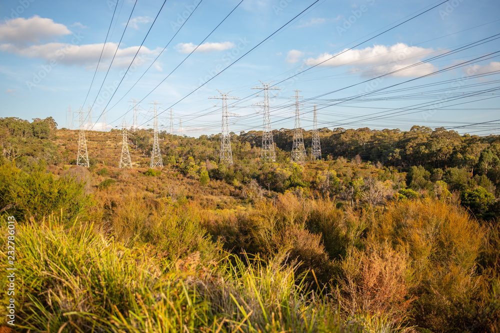 Landscape in Melbourne