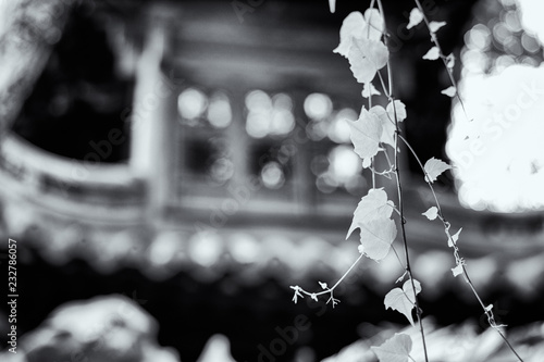 Photography Shanghai Monochrom