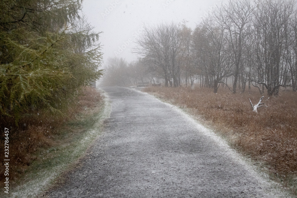 Fototapeta premium Erster schnee auf dem Hohen Schneeberg im Elbsandsteingebirge 2018