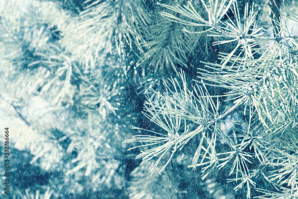 Christmas background with fir branches, glow, snowflakes and bok