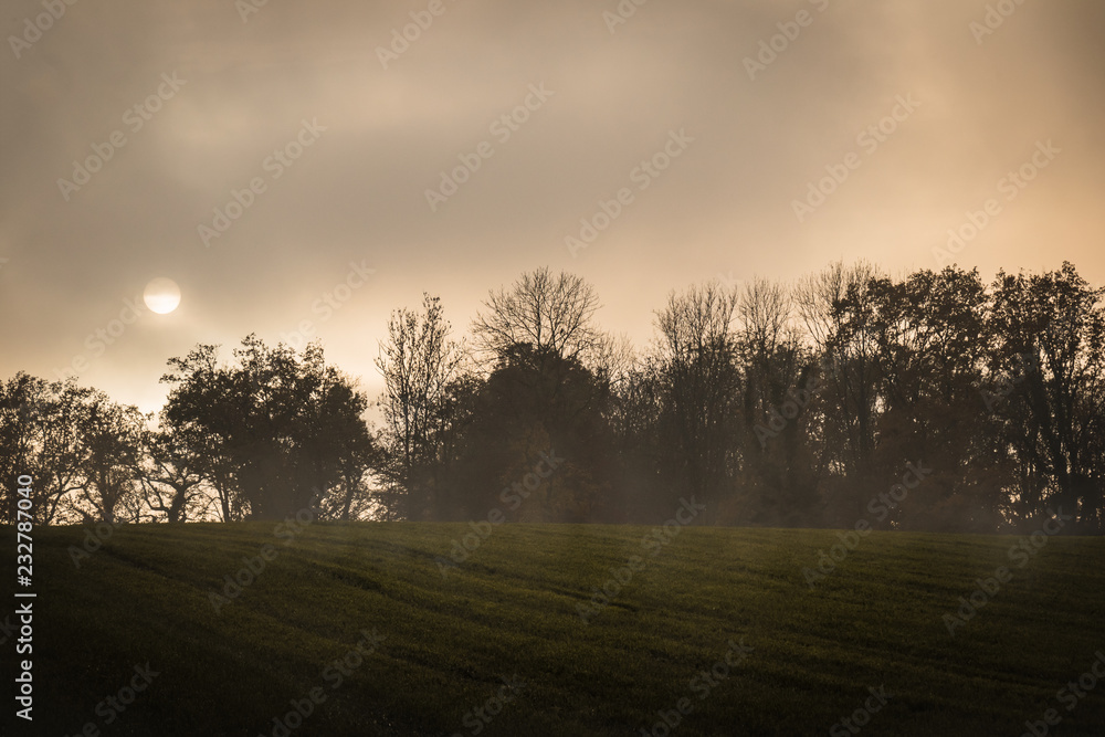 Naklejka premium Sonne hinter Nebel