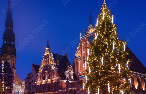 Ghristmas tree in old town. House of the Blackheads in Riga, Latvia