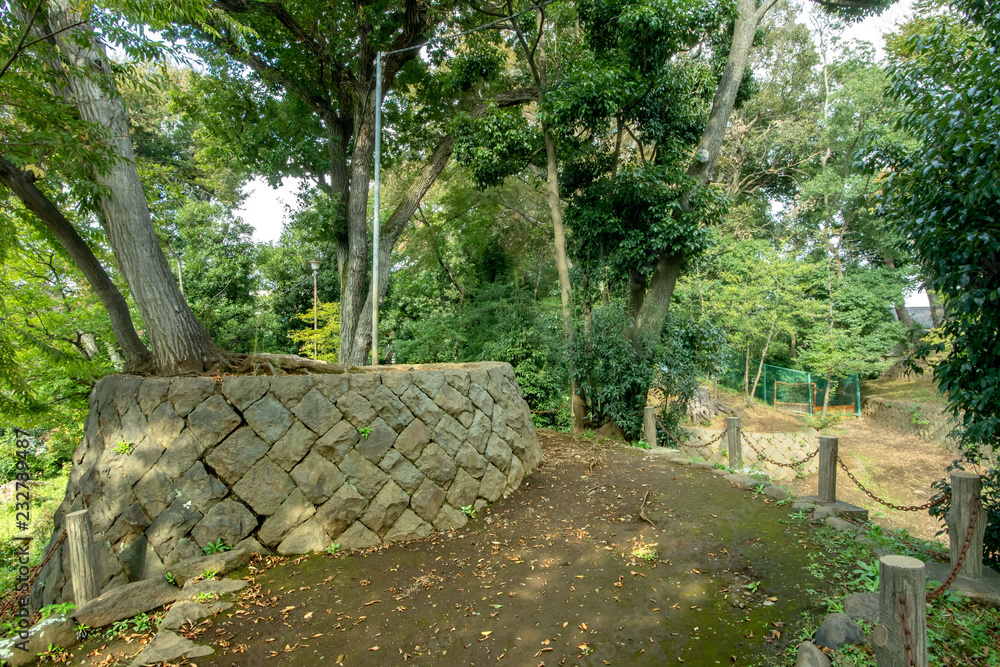 世田谷区立世田谷城址公園 世田谷区立世田谷城址公園