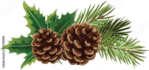 Vector Christmas tree branch with pine cones and mistletoe