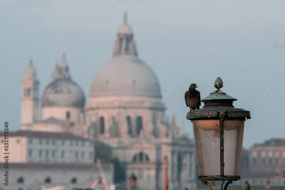 Φωτογραφία A pigeon sitting on a street lamp against the background of the Cathedral of San