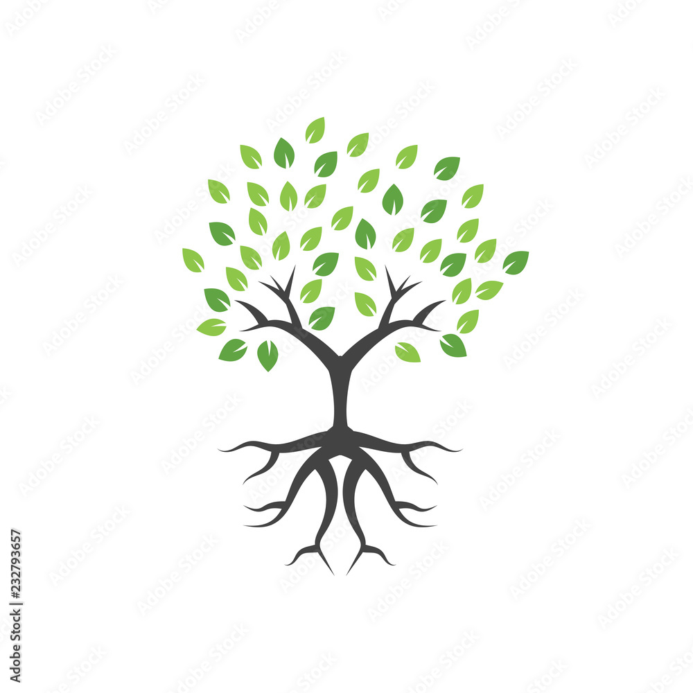Tree graphic design template vector illustration isolated Tree graphic design template vector illustration isolated