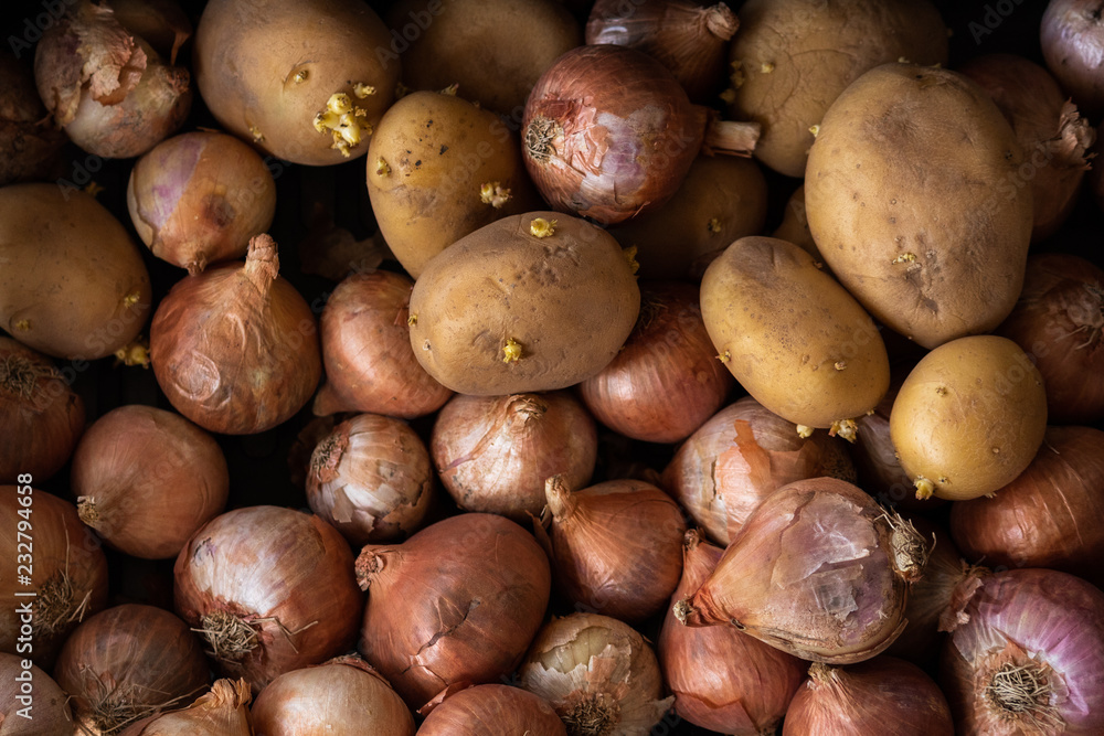 Obraz premium Fresh potatoes at the market
