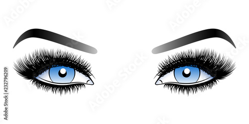 Blue woman eyes with long false lashes with eyebrows.