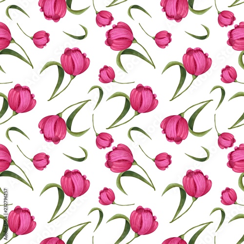 seamless pattern of pink flowers tulips on a white background