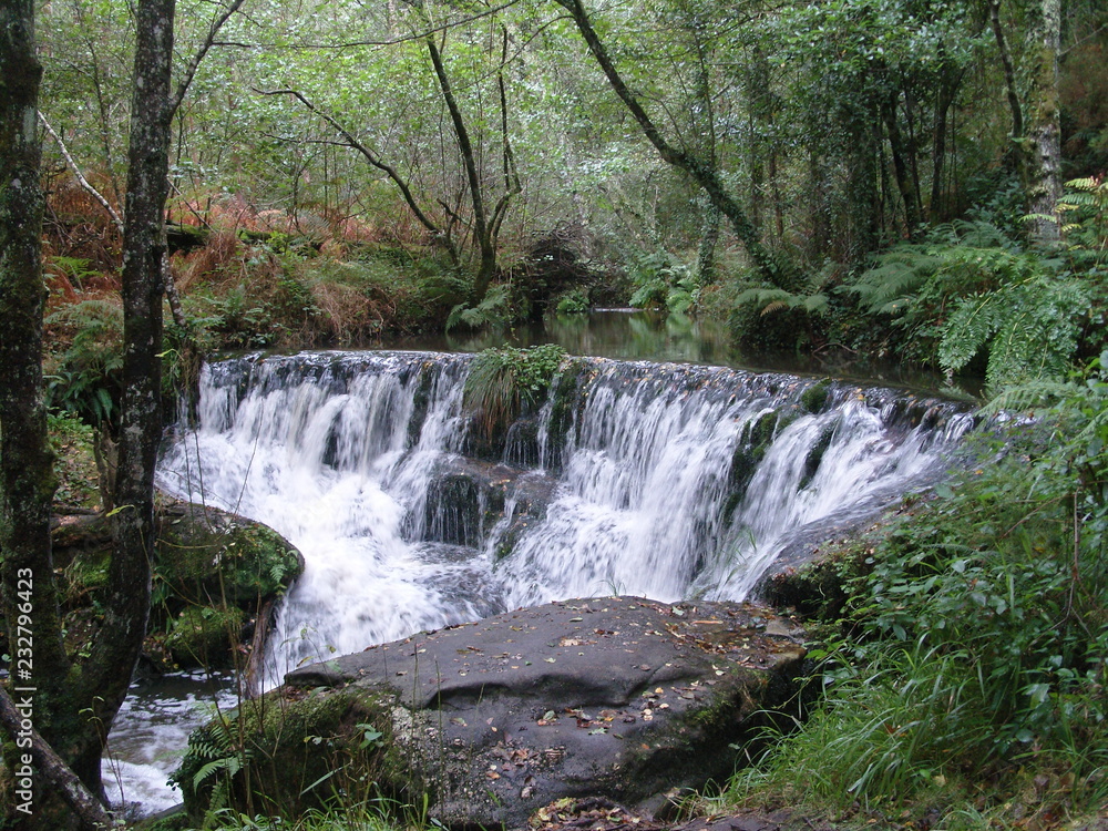 Obraz premium Naturaleza