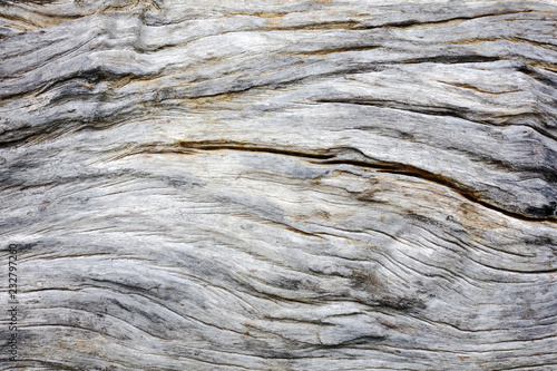 old Wood texture