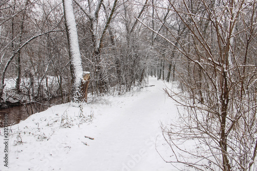 The snow-covered park is very beautiful with trees and bushes covered in snow. © Iryna