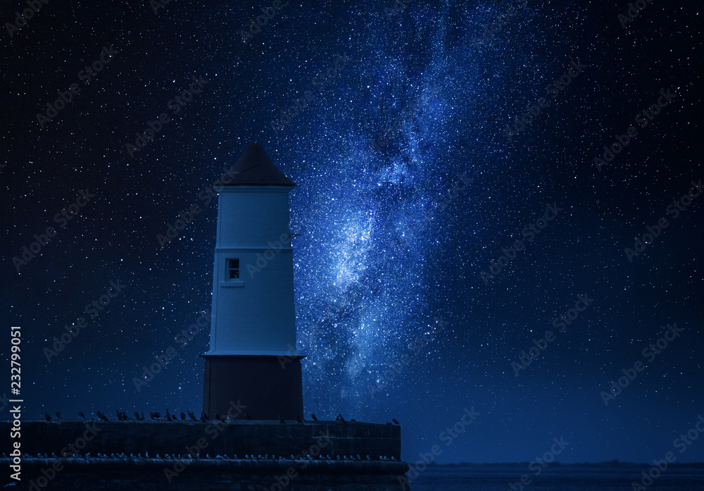 Milky way and lantern over the the sea with birds