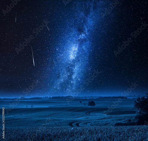Milky way over field with tree at night