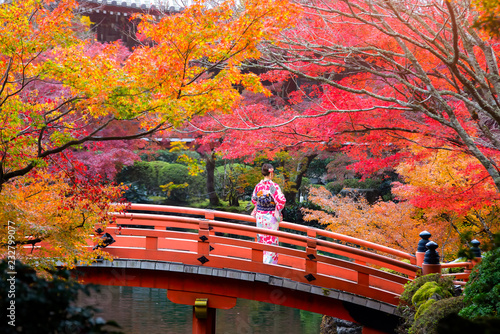 Young women wearing traditional Japanese Kimono at Daigo-ji temple with colorful maple trees in autumn, Daigoji temple is the famous temple in autumn, Kyoto, Japan.