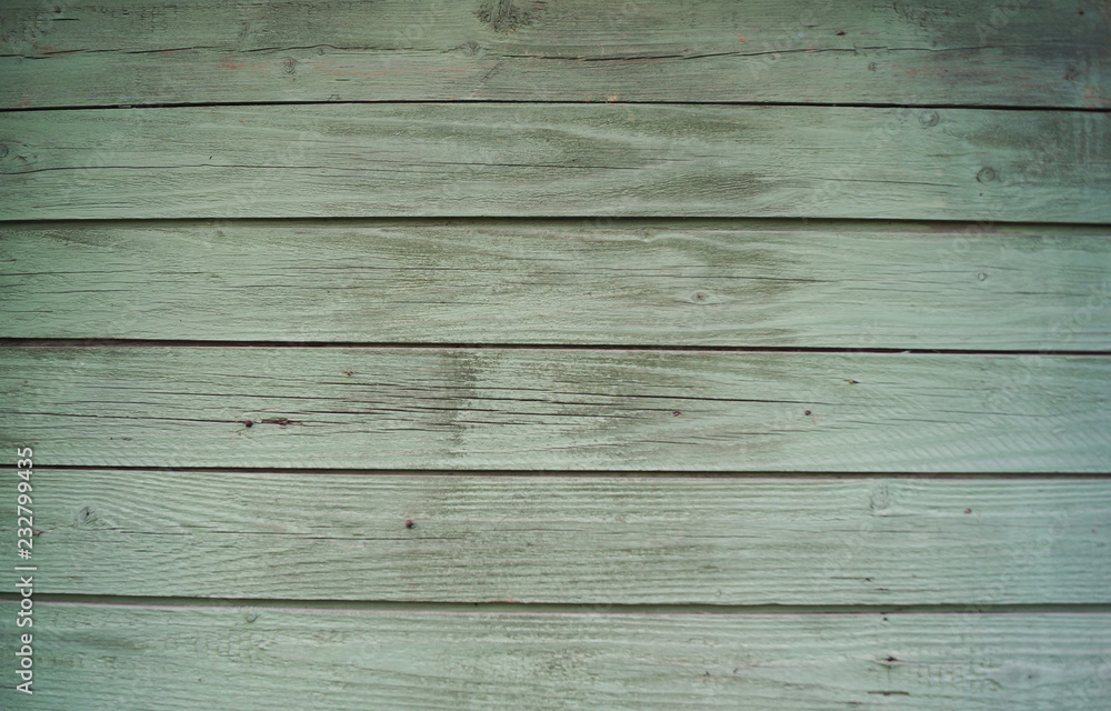 Obraz premium Beautiful wooden green background for design, banner and layout.