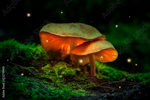 Fireflies and glowing mushrooms in a dark forest at dusk