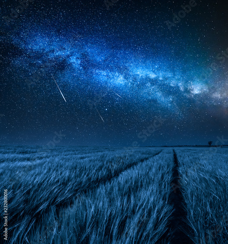 Amazing milky way over field with wheat at night