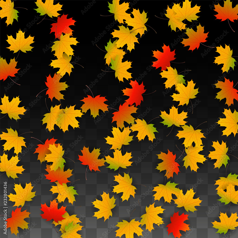 September Vector Background with Golden Falling Leaves. Autumn Illustration with Maple Red, Orange, Yellow Foliage. Isolated Leaf on Transparent Background. Bright Swirl. Suitable for Posters. September Vector Background with Golden Falling Leaves. Autumn Illustration with Maple Red, Orange, Yellow Foliage. Isolated Leaf on Transparent Background. Bright Swirl. Suitable for Posters.