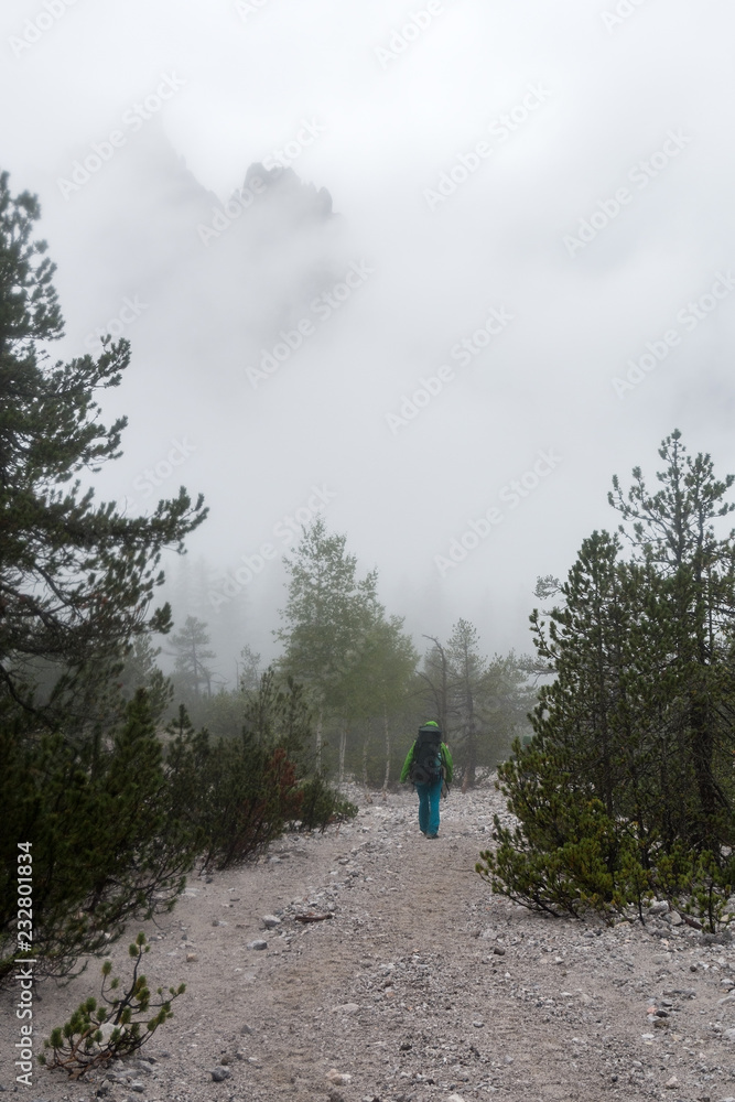 Fototapeta premium young tourist walks on misty mountain path