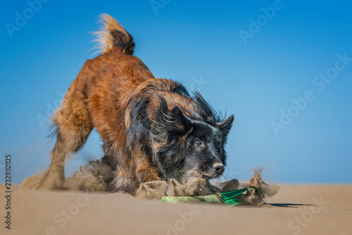 Foto Sandsturm